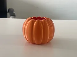 Pumpkin Pot Plant