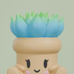 Captus Face Pot 5