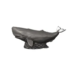 Sperm Whale Sculpture - Realistic 3D Print Model