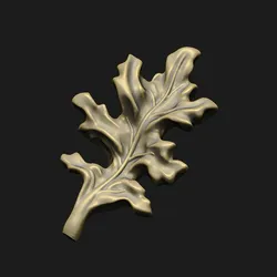 Red-oak leaf detail plant branches autumn winter gift
