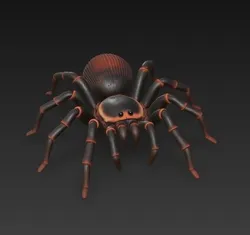 tarantula spider