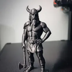 Viking warrior