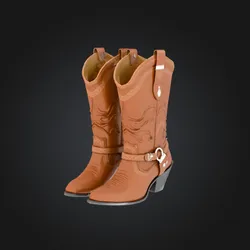 Woman Cowboy Boots