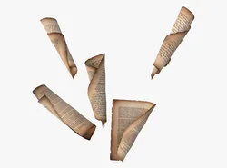 Ancient Manuscript Scroll Set M1