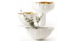 Bouquet dried flowers eucalyptus branches vase set