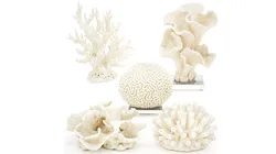 Collection figurines amarine decor white coral set