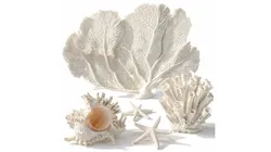 Marine decor figurines coral starfish shell set