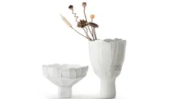 Minimalist bouquet dried flowers lotus poppy decor vase set