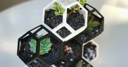 Plantygon - Modular Geometric Stacking Planter for Succulents