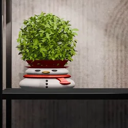 Flower pot