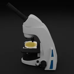 Microscope