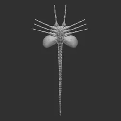 FaceHugger