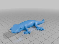 Gecko Magnet