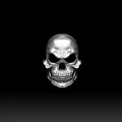 Skull Mask