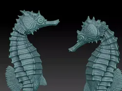 two seahorses