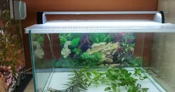 Aquarium LED Light Holder - Ramp