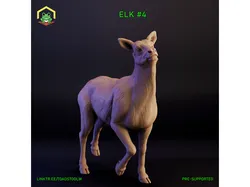 Elk - female 2
