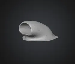 Hood Scoop
