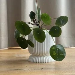 Minimalist Wavy Plant Pot Planter