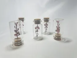 Models Used to create diorama and structure tree.
