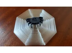 Octagon fidget with spider