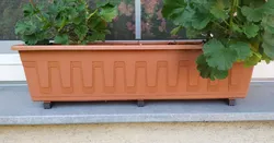 wedge under the box