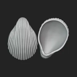 Acrosterigma Seashell - STL for 3D Printing