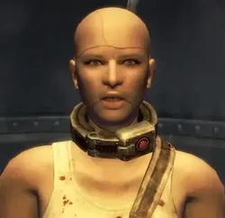 Christine from Fallout