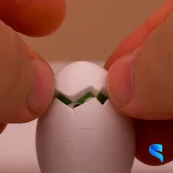 Happy Egg