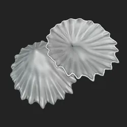 Patellidae Shell - Limpet 3D Printable Model