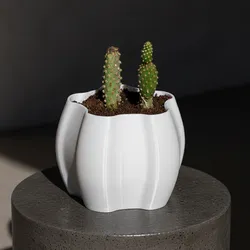 pumpkin pot