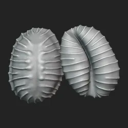 Pusula Pediculus Seashell - STL for 3D Printing