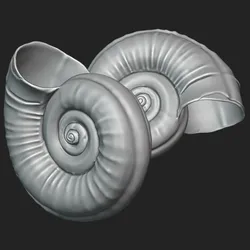 Ramshorn Snail Shell - STL for 3D Printing