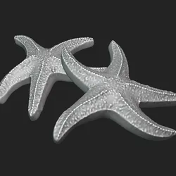 Starfish Model 07 - 3D Printable Sea Star