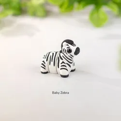 Baby Zebra