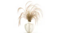 Bouquet dried flowers Cortaderia pampas branches vase decor