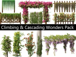 Climbing Cascading Wonders Pack 32