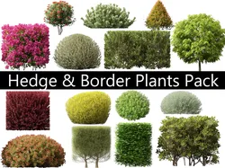 Hedge Border Plants Pack 26