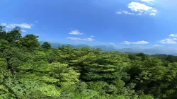 Mountain Valley