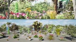 Realistic South African Vegetation s