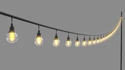 Vintage Lights String