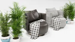 Armchair chair plant