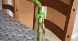 Lucky Corona Bamboo Planter