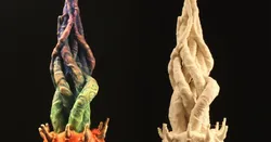 Tabletop plant: "Halloween 2020" (Alien Vegetation 28)