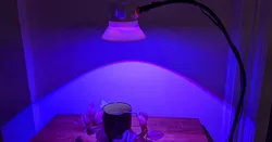 The ultimate grow light