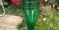 Bird feeder