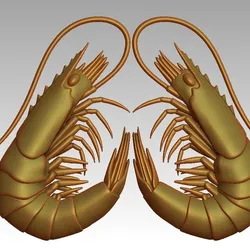 Reliefs shrimp