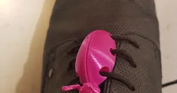 Shoelace Beetle