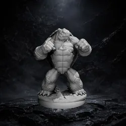 Tortle boxer