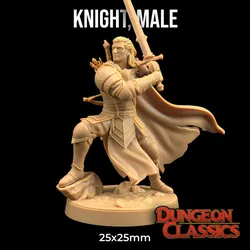 Male Knight | PRESUPPORTED | Dungeon Classics